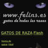 Gatos de Raza