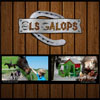 els galops