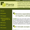 Plantasa